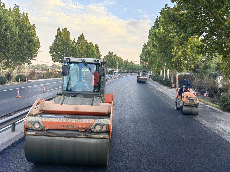 IMG_20221020_165528_proc_副本 IMG_20221020_165528_proc_副本