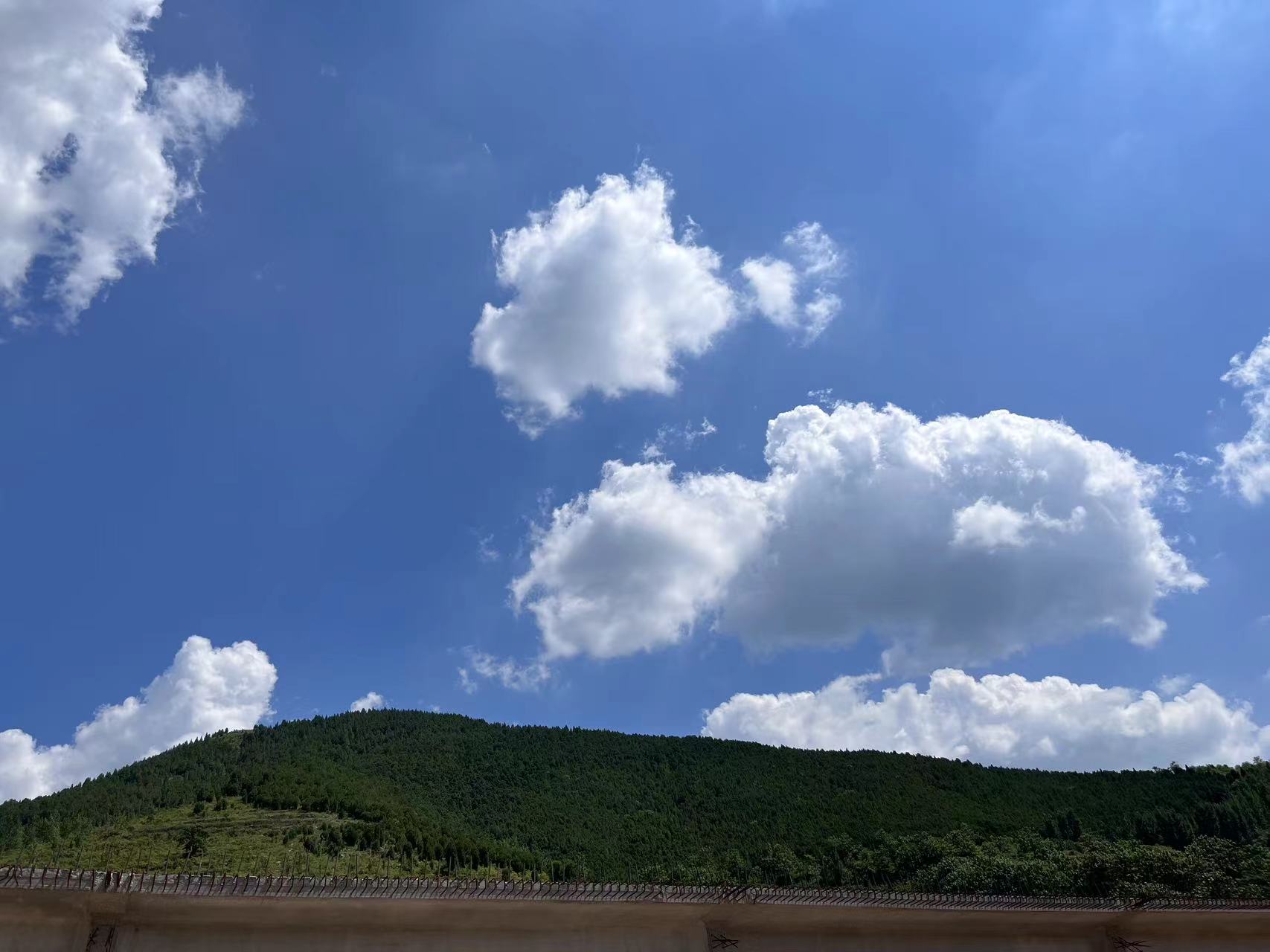 九月，你好！