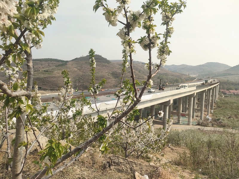春之希望：臨臨項(xiàng)目建設(shè)圖片展