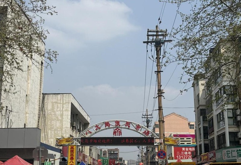 春天，一起去探尋淄博的魅力