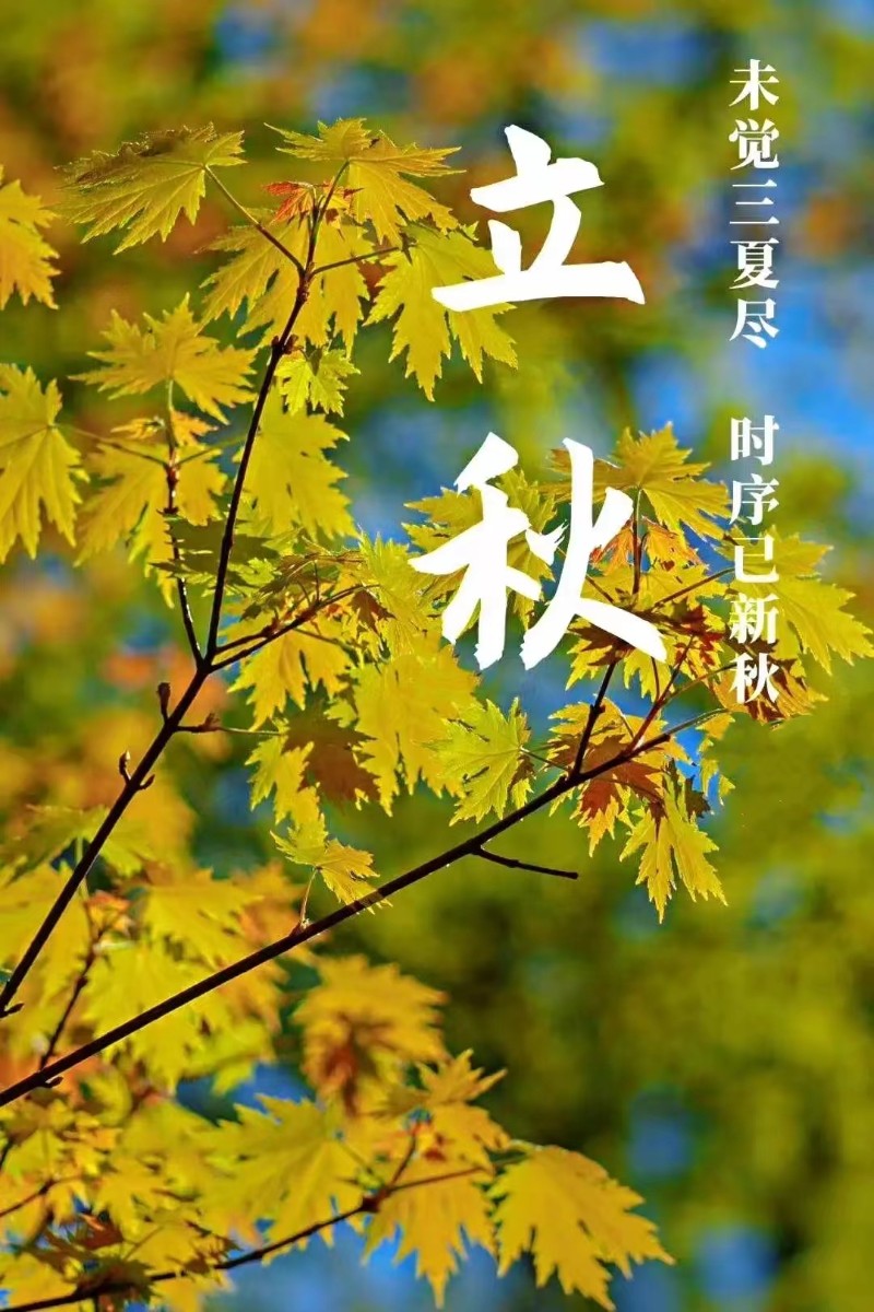 立秋風起，心自清涼