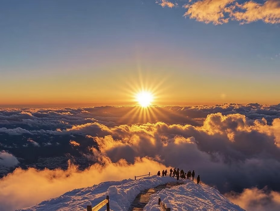 冬寒有盡，春歸可期