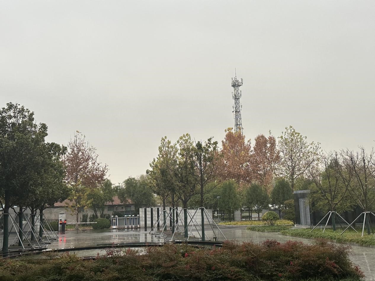 冬雨之韻，生活之色