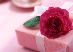 致可愛(ài)的她們