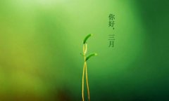 你好，三月！