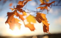 透心明理 訴衷腸