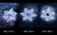 “好書(shū)推薦”：“水知道答案”之感想