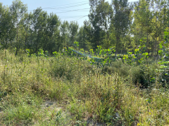 我的外業(yè)經(jīng)歷