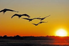 快樂(lè)工作， 微笑生活