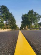 《那些年，那些來時的路》觀后有感