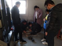 為則通達(dá)，學(xué)無止境