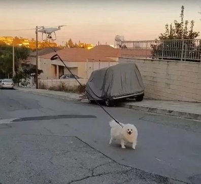 知恥而后勇，知弱而圖強(qiáng)